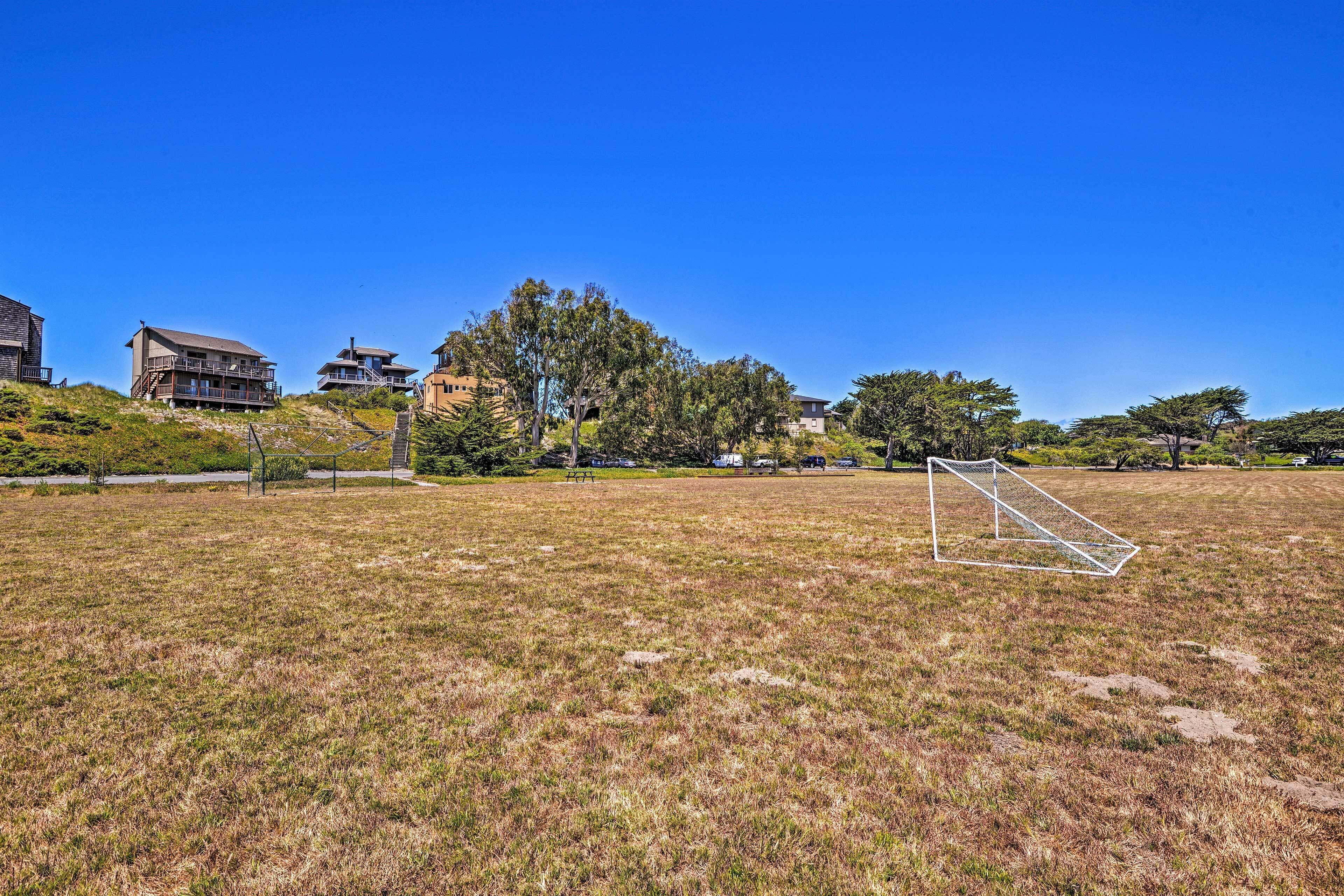 A grassy field with a soccer goal, surrounded by trees and buildings.