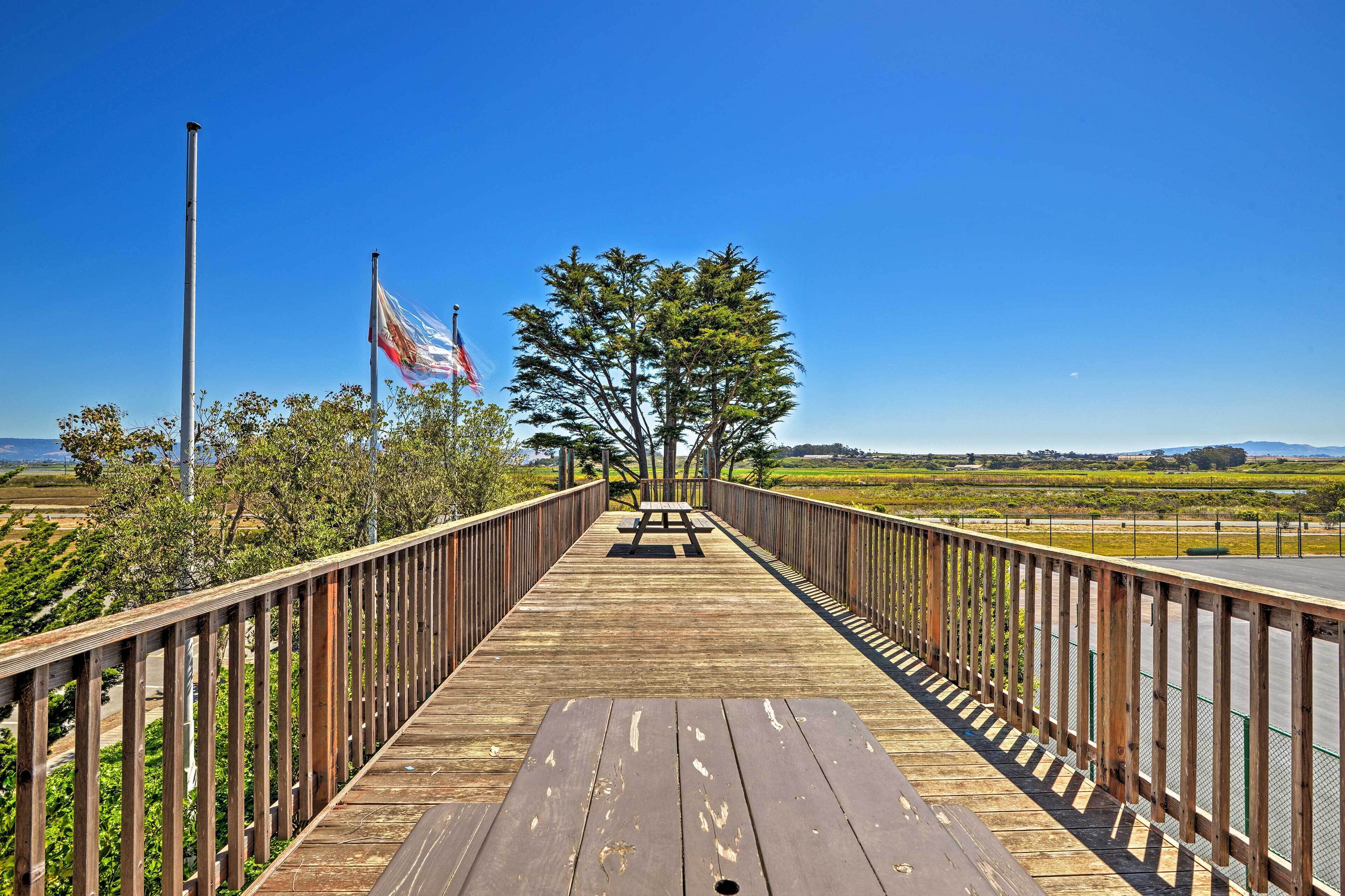 A wooden bridge with a picnic table in the center, surrounded by a metal fence and trees.