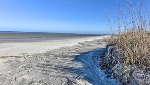 A beach with a clear sky, sandy shore, and sparse vegetation.