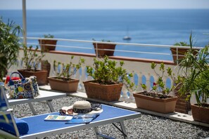 Une terrasse agrémentée de plantes en pot, un fauteuil bleu et une vue sur la mer.