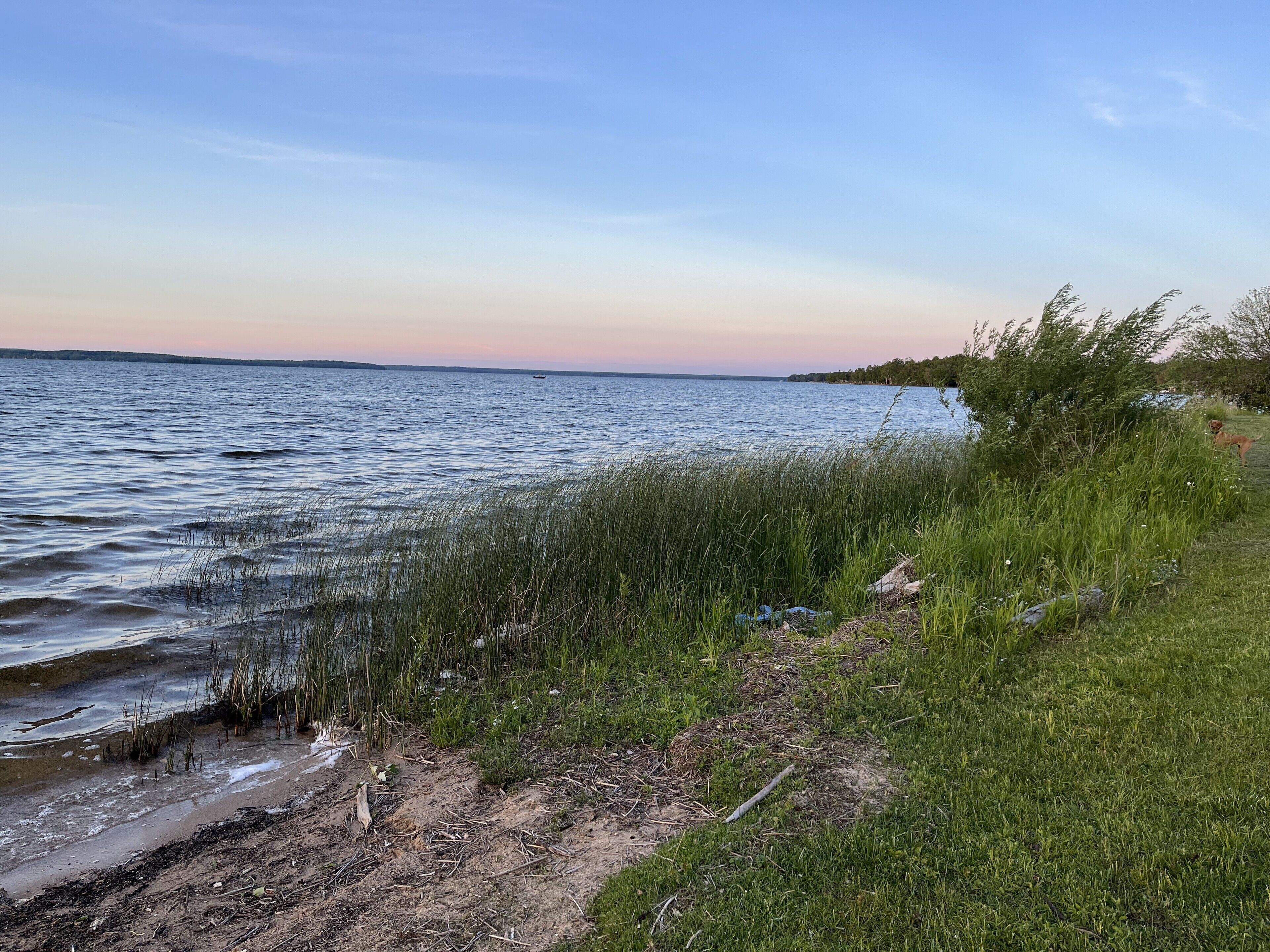 Un paysage naturel comprenant une étendue d’eau, des zones herbeuses et une côte lointaine.