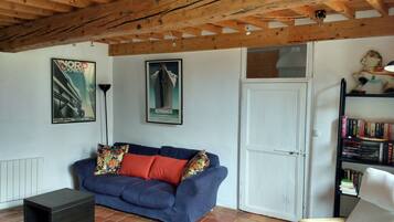 TV, fireplace, DVD player, books