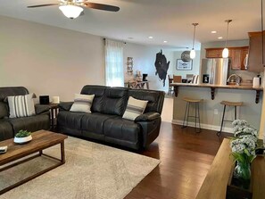 Smart TV, fireplace, computer monitors