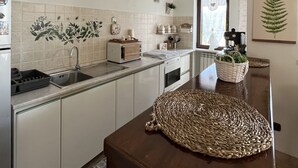 A kitchen with white cabinets, a wooden countertop, a woven placemat, and a hanging fern.
