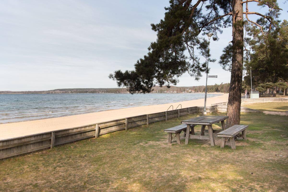 A beach with a wooden fence, a picnic table, and a bench.