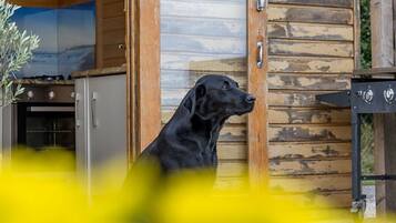 Animaux de compagnie acceptés
