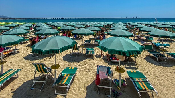 Una playa con hileras de sombrillas verdes y sillas reclinables.