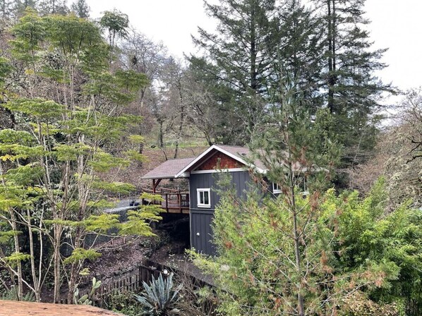 A small cabin with a wooden deck, surrounded by dense forest.