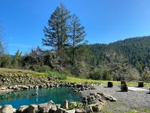 Immagine non classificata, 5 di 56, pulsante