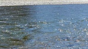 Un riu d'aigua cristal·lina i una riba pedregosa.