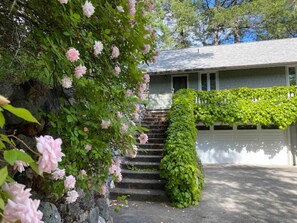 Una casa con una escalera de piedra que lleva a un garaje, rodeada de vegetación exuberante y plantas con flores.