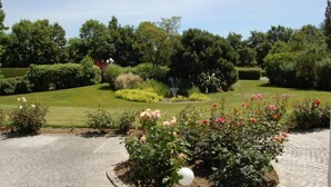 Un jardín con un camino empedrado, arbustos diversos y una fuente.