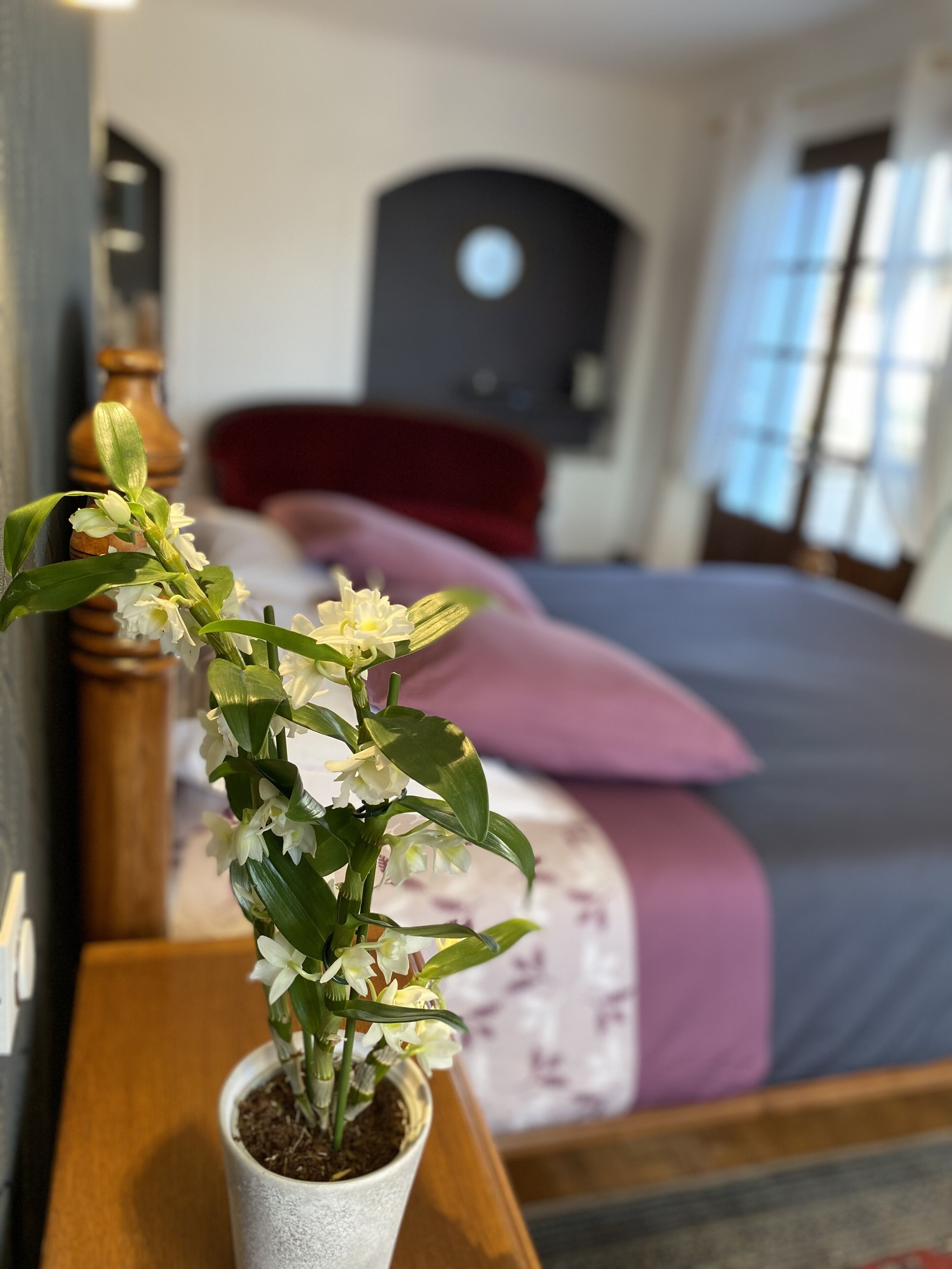 Entre Lyon et Grenoble, a 20 Mins des Lacs, a la Campagne