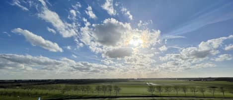 Een landelijk landschap met een weg, open velden en verspreide bomen.