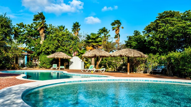 Una piscina con sillas de descanso y sombrillas de paja, rodeada de exuberante vegetación y árboles.
