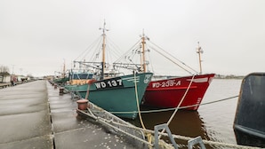 A dock with several fishing boats tied up, including one with the registration WD 137 and another with WD-239-A. - 78 King Street (Wexford)