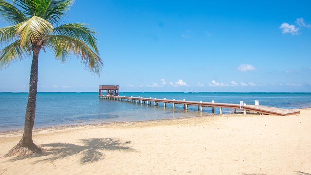 Une plage avec un palmier, une jetée en bois et une structure en bois à l’extrémité.