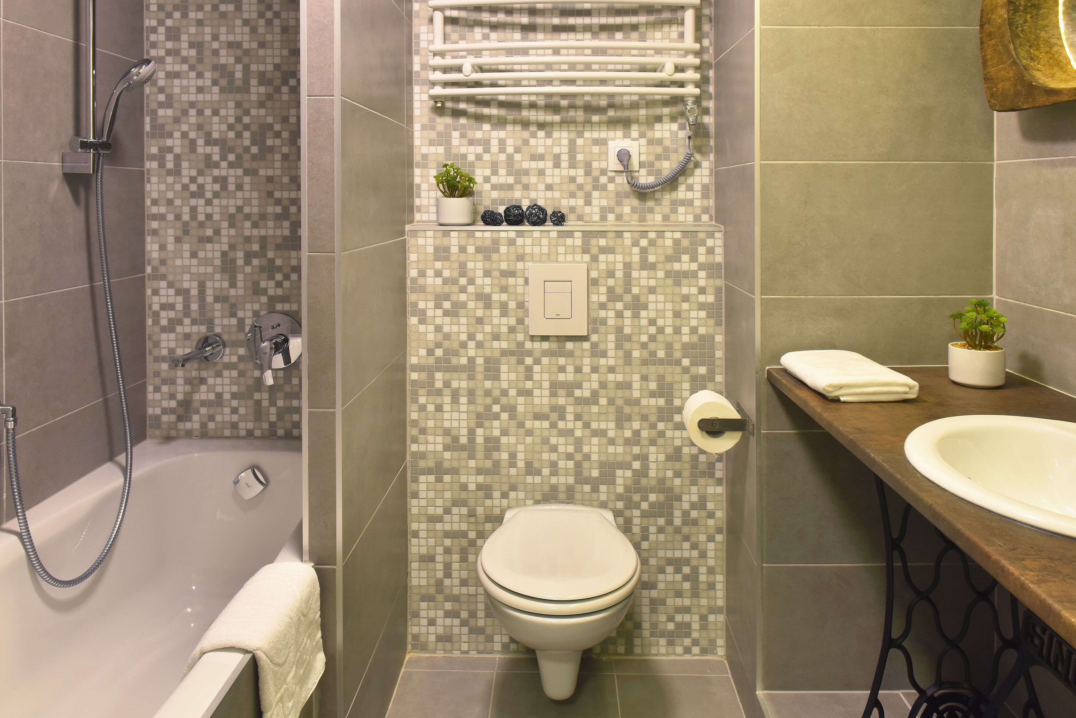 A bathroom with a shower, toilet, sink, and a small plant on the countertop.
