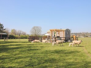 Casa de campo | Diversos