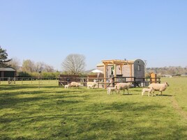 Cottage | Miscellaneous