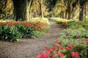 Property grounds - Quiet Cottage in the Heart of Downtown (Charleston)