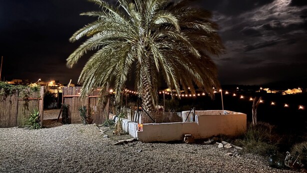 Una palmera en un área de grava con luces de cuerda al fondo.
