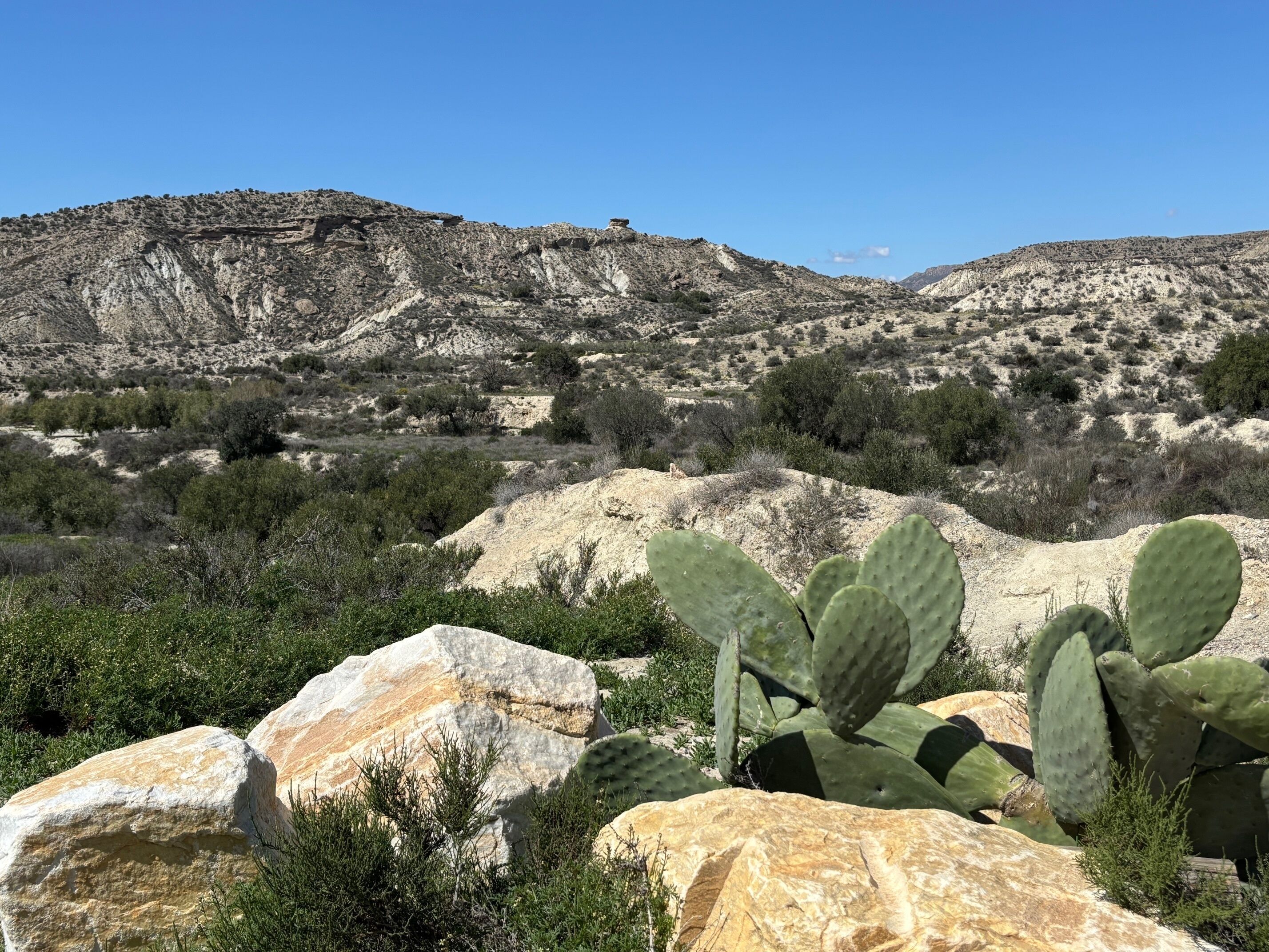 A desert landscape with rocky terrain and sparse vegetation, including cacti and small bushes.