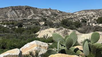 A desert landscape with rocky terrain and sparse vegetation, including cacti and small bushes.