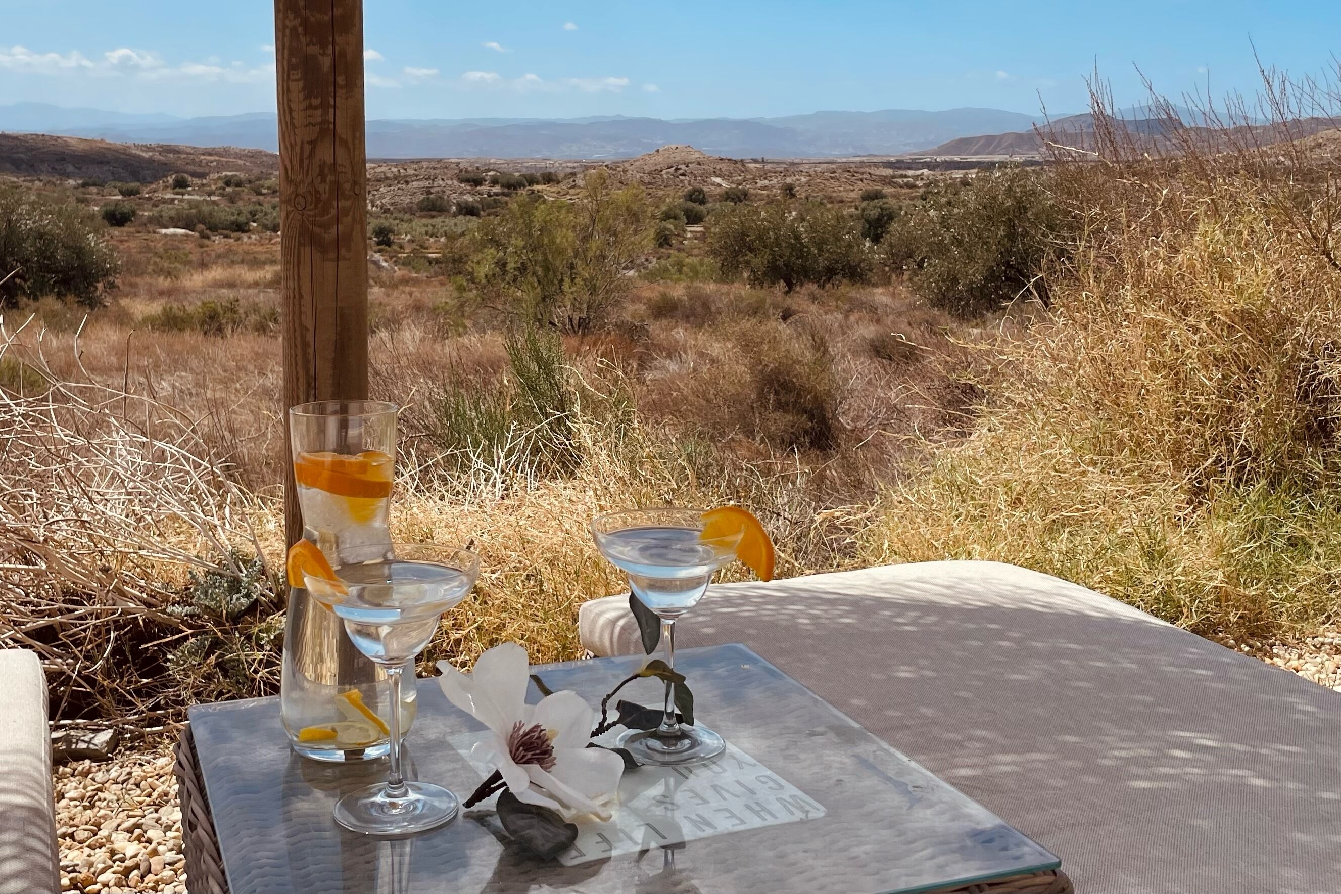 الإطلالة من المنشأة