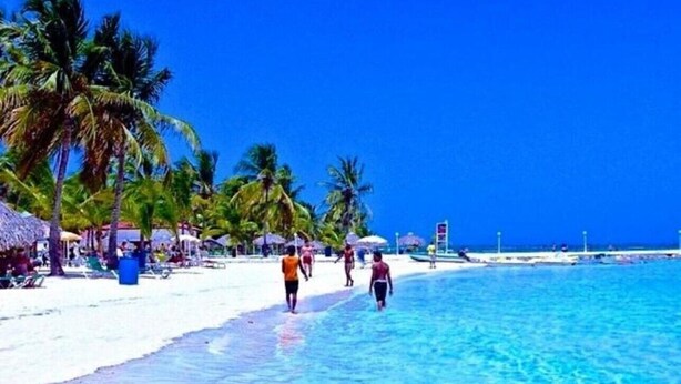 Una playa con agua turquesa cristalina, palmeras y sombrillas.