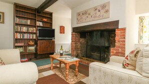 Een gezellige woonkamer met een open haard, een boekenplank, een televisie en een comfortabele bank.