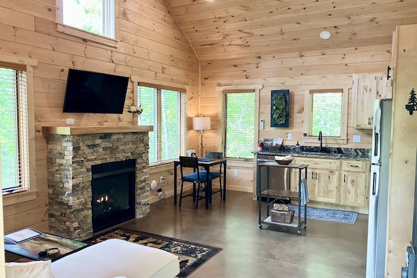 Smart TV, fireplace, books