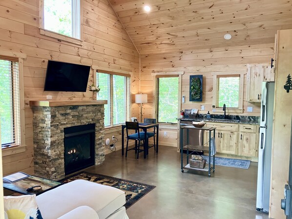 Smart TV, fireplace, books