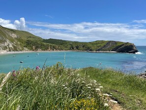 Eine Küstenlandschaft mit blauem Himmel, einem Sandstrand und einem Felsen.