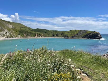 Una playa cerca