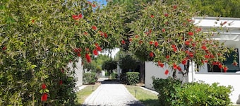 Ibiscus Beach Village
