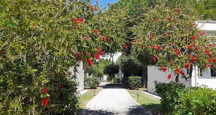 Ibiscus Beach Village