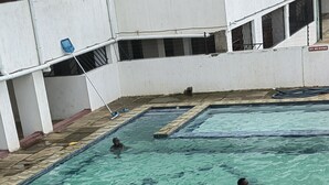 A swimming pool with clear water and lane dividers. - Breezeskyline with greenery view (Kiambu)