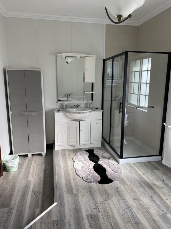 Hair dryer, bidet, towels, toilet paper