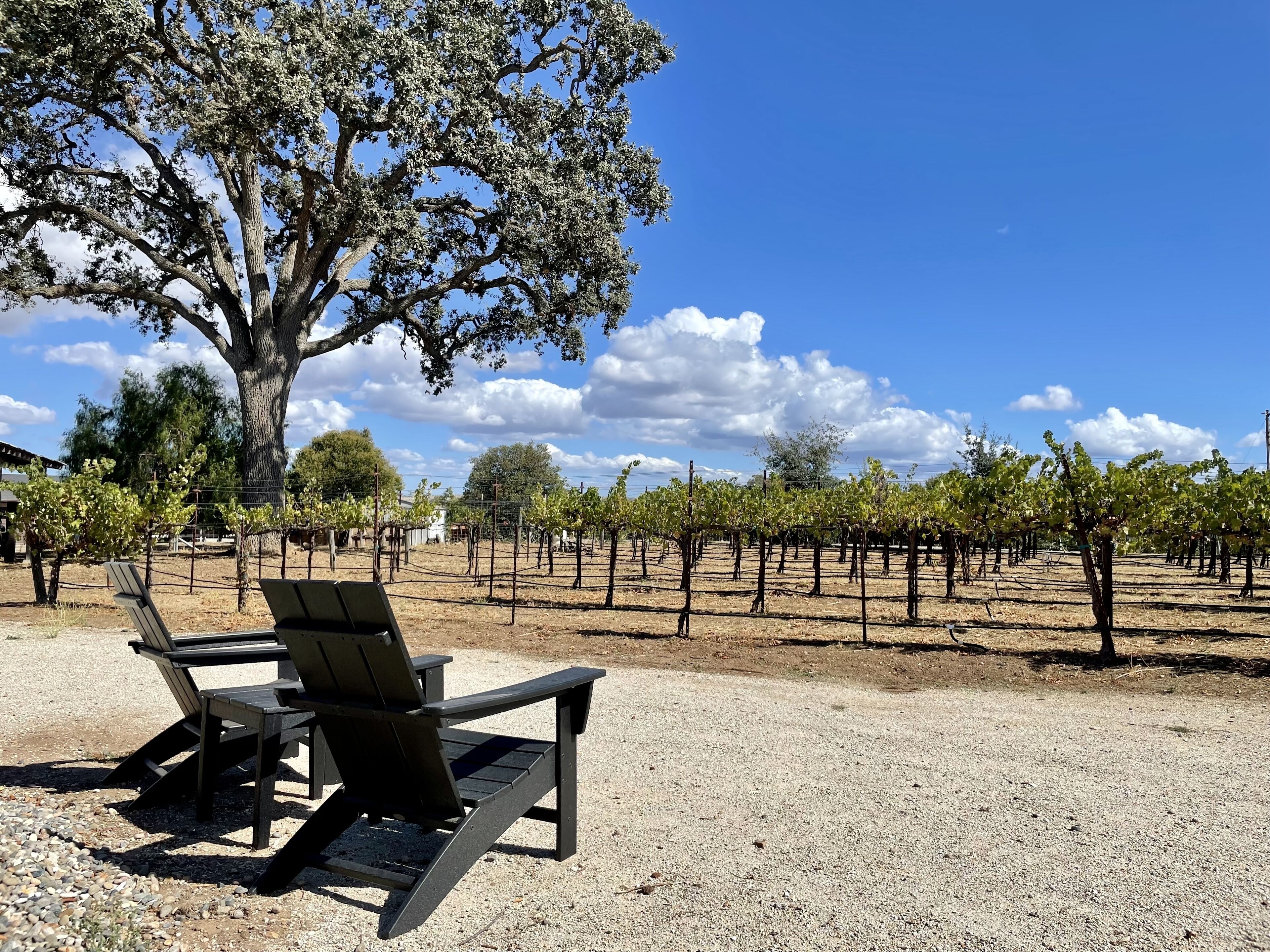 NOW ON VRBO! Private Vineyard & 6BR Mid-Century w/ Game House... Great Location!
