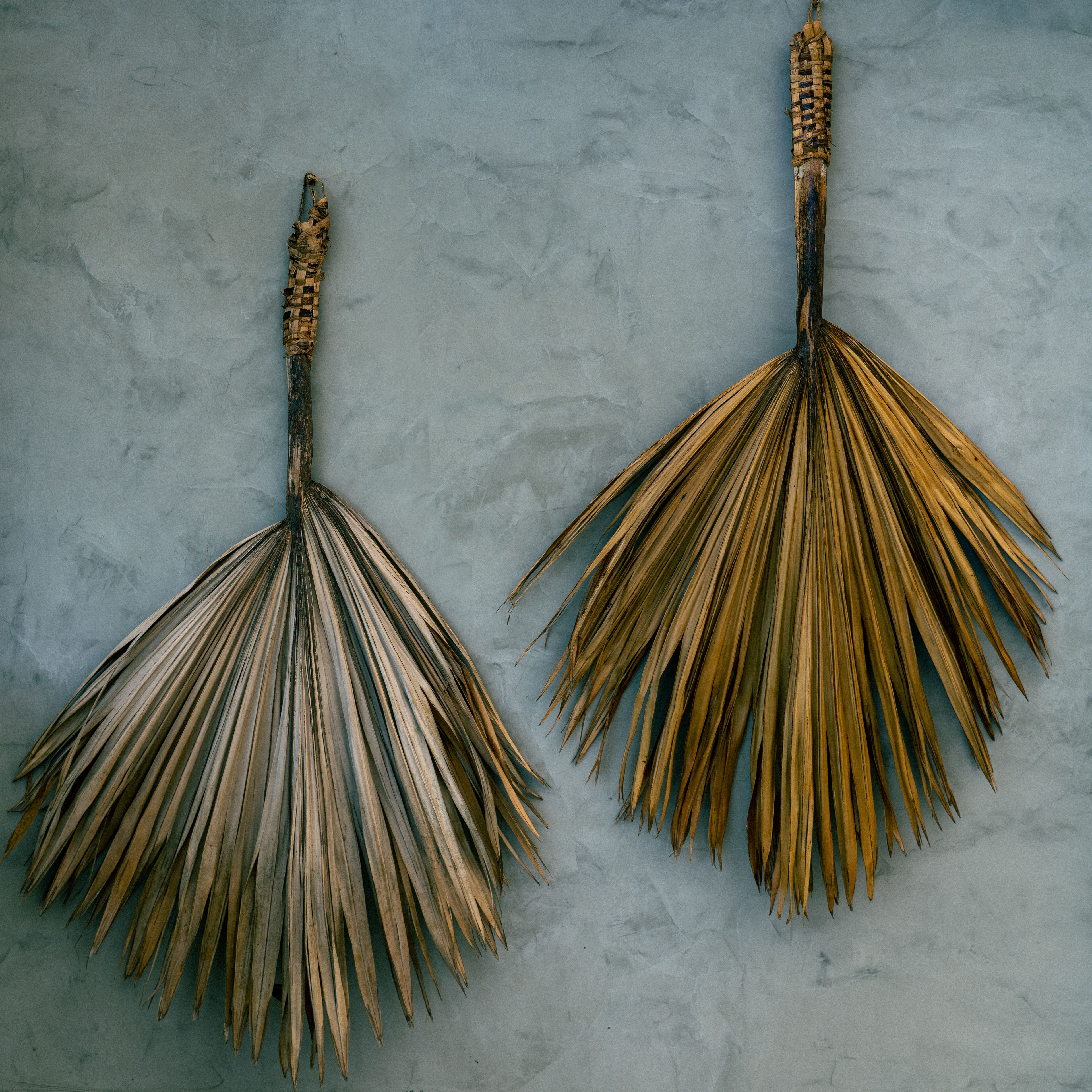 Two dried palm leaves hanging on a textured wall.