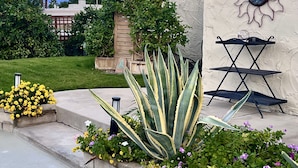 Un espace paysager agrémenté d’un banc en béton, d’un grand agave et de fleurs violettes.
