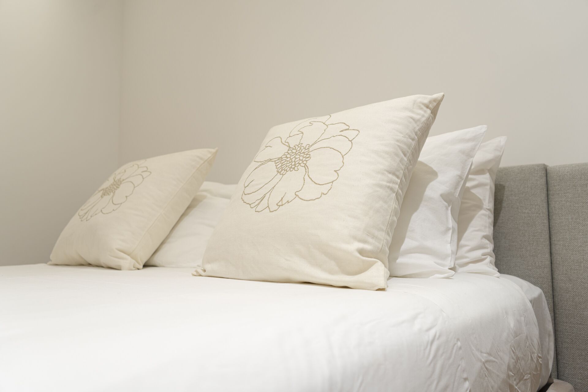 Foto - Quinta Do Passal