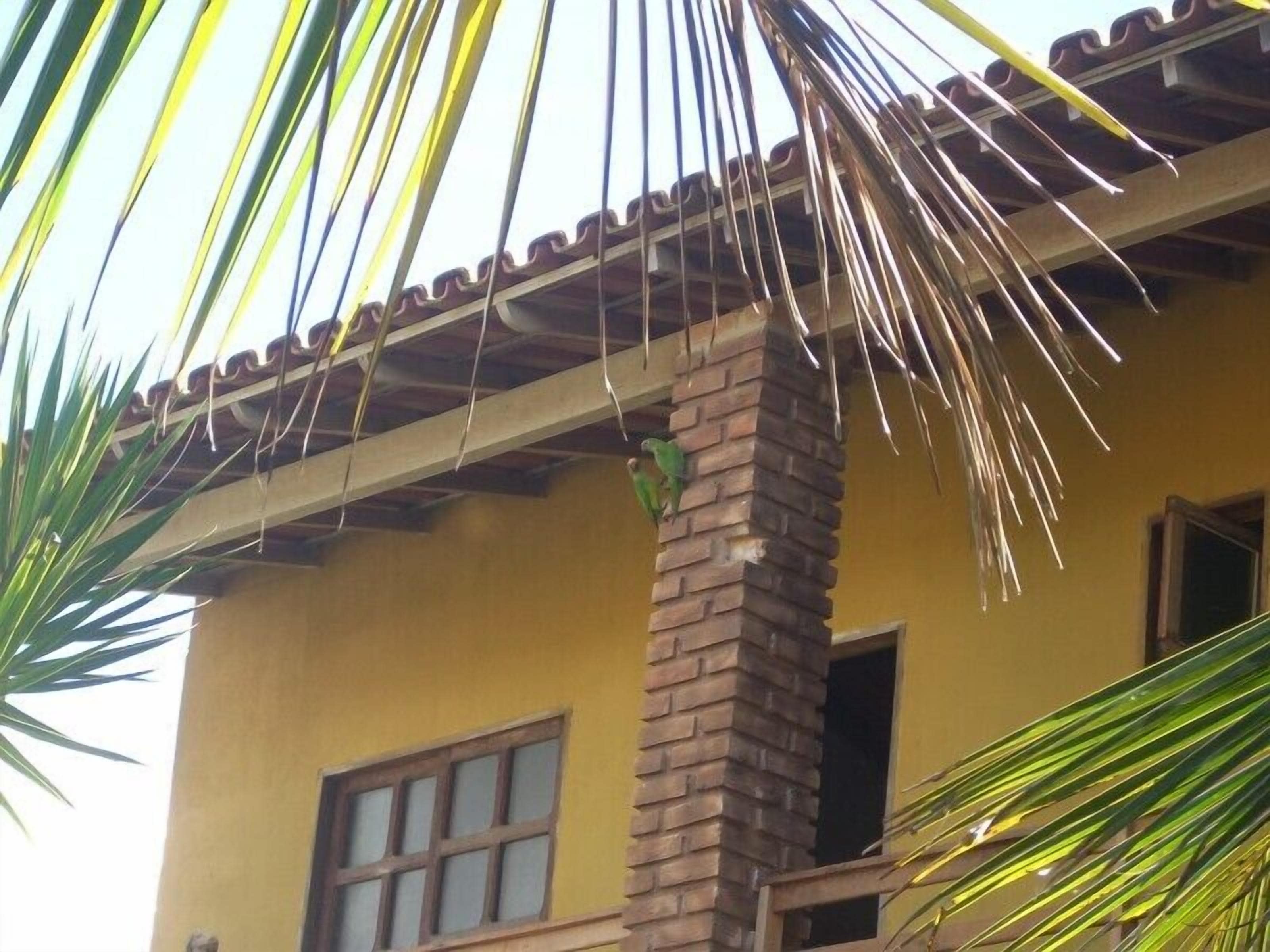 Foto - Pousada Água de Côco