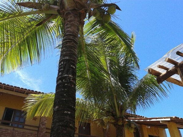 Exterior detail - POUSADA ÁGUA DE COCO (Prado)