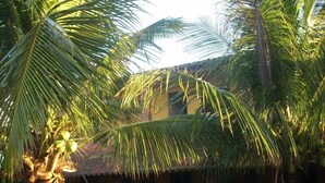A hammock under palm trees, a building with a tiled roof, and a clear sky. - POUSADA ÁGUA DE COCO (Prado)
