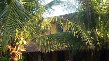 Vista para o jardim