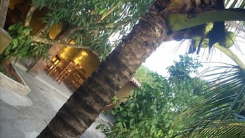 Garden view