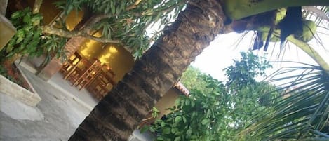 Vista al jardín