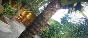 POUSADA ÁGUA DE COCO